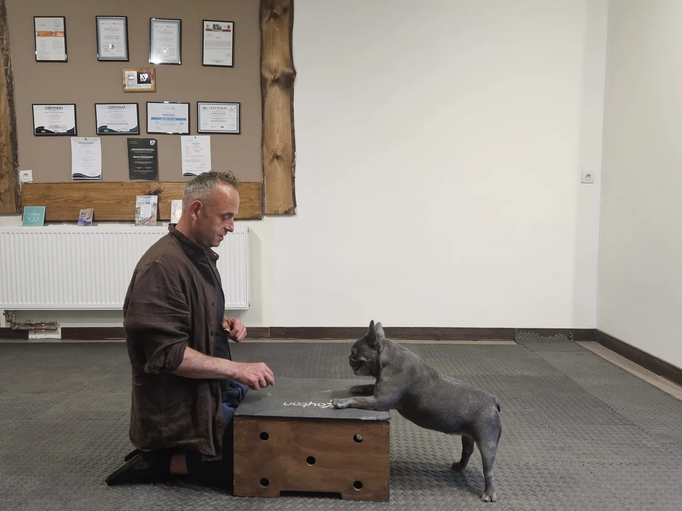 Nosework - trening węchowy